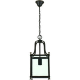 Michigan 1 Light Lantern Pendant, 2 Colour Options - Crystal Palace Lighting